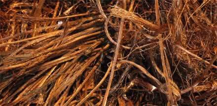 GLOBAL SQUARE (M) SDN. BHD.